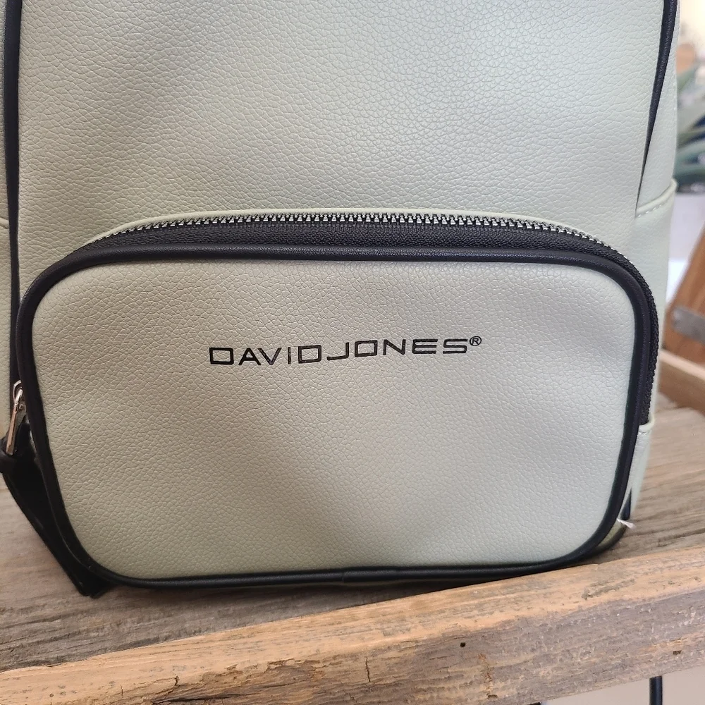 David Jones Pastel Green Mini PU Leather Backpack